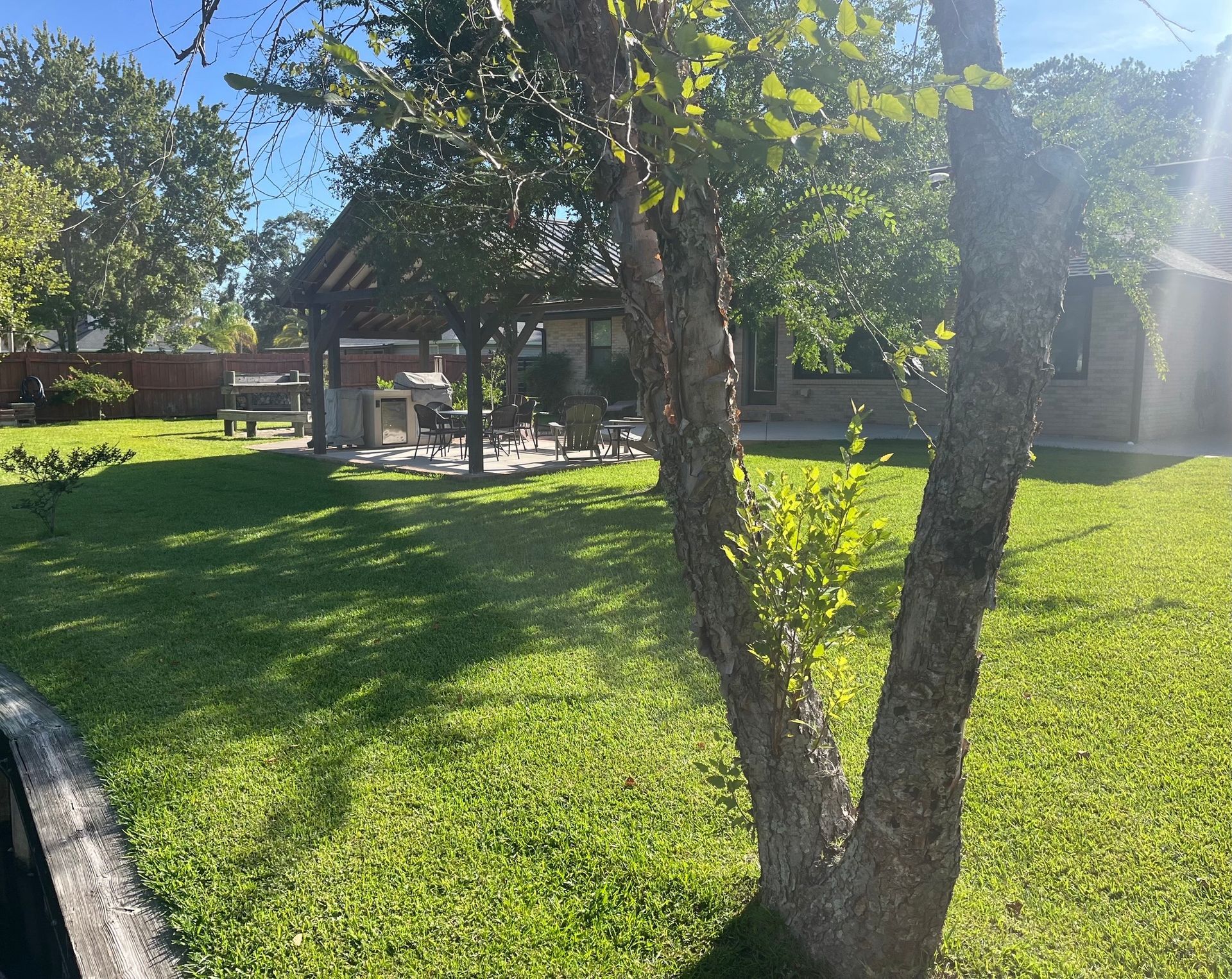 Green backyard with a tree in the foreground. A covered patio with seating is in the background. Sunny day.