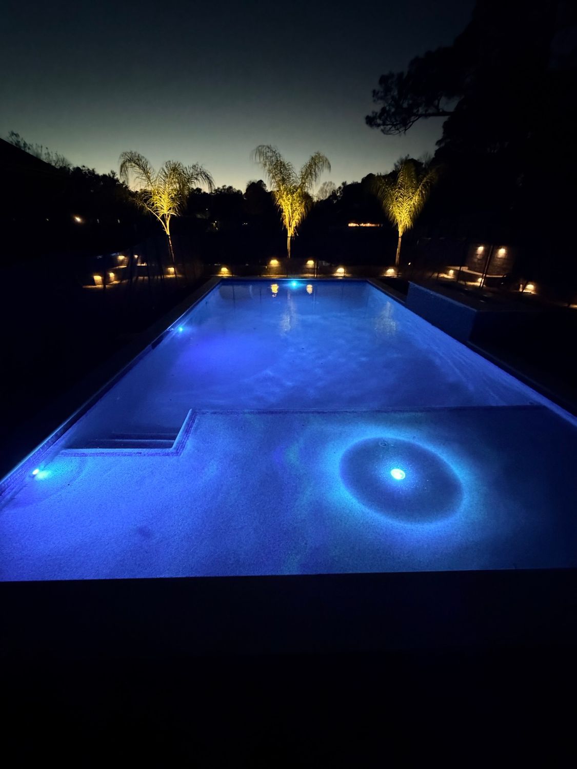 Illuminated blue pool at night with palm trees and surrounding landscape.