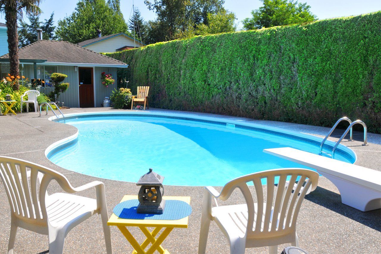 Pool with blue water surrounded by concrete patio, chairs, hedge and shed. Pool with blue water surrounded by concrete patio, chairs, hedge and shed.