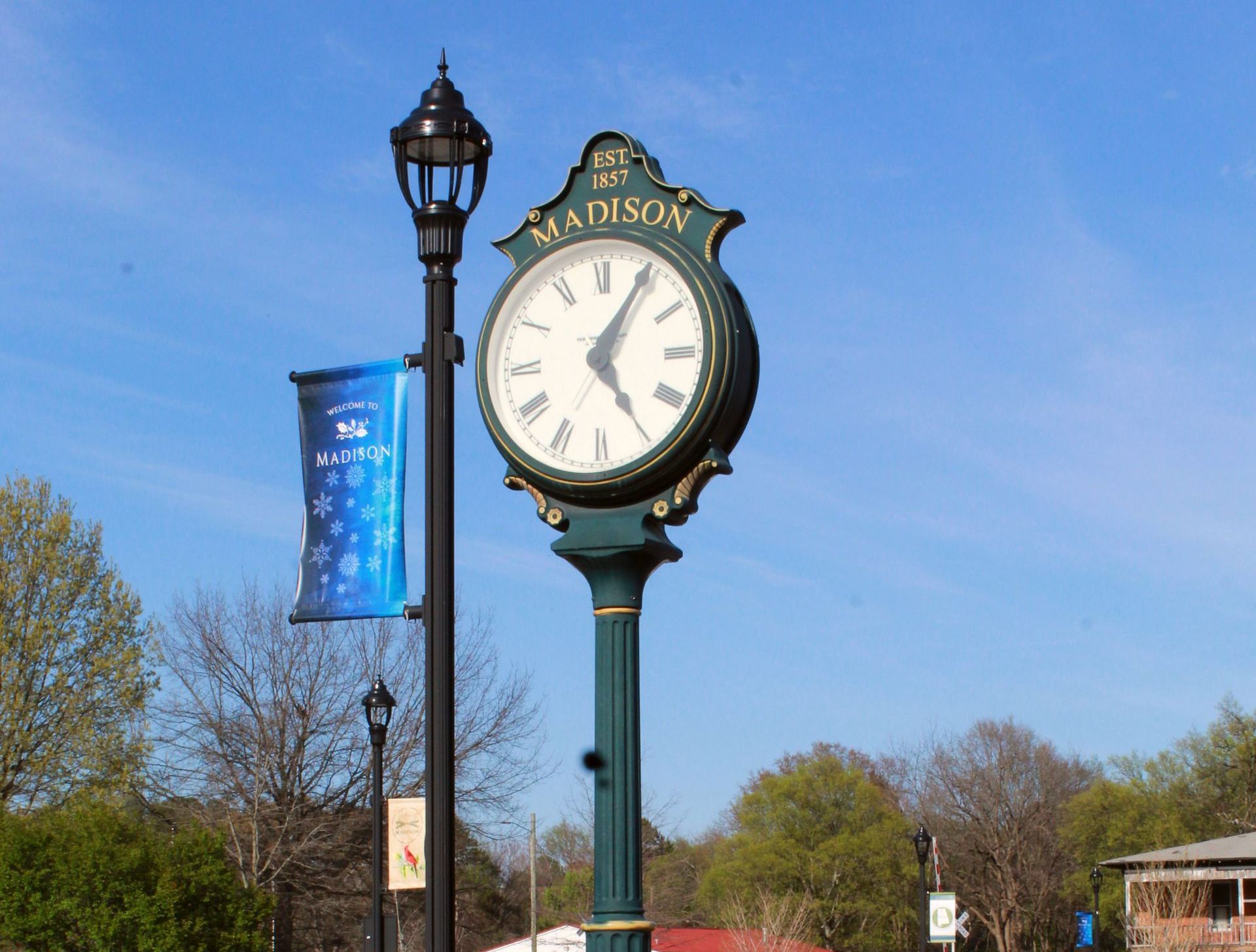 Modern Houses — Madison, AL — Opie Balch Realty