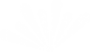 A white background with a few lines on it
