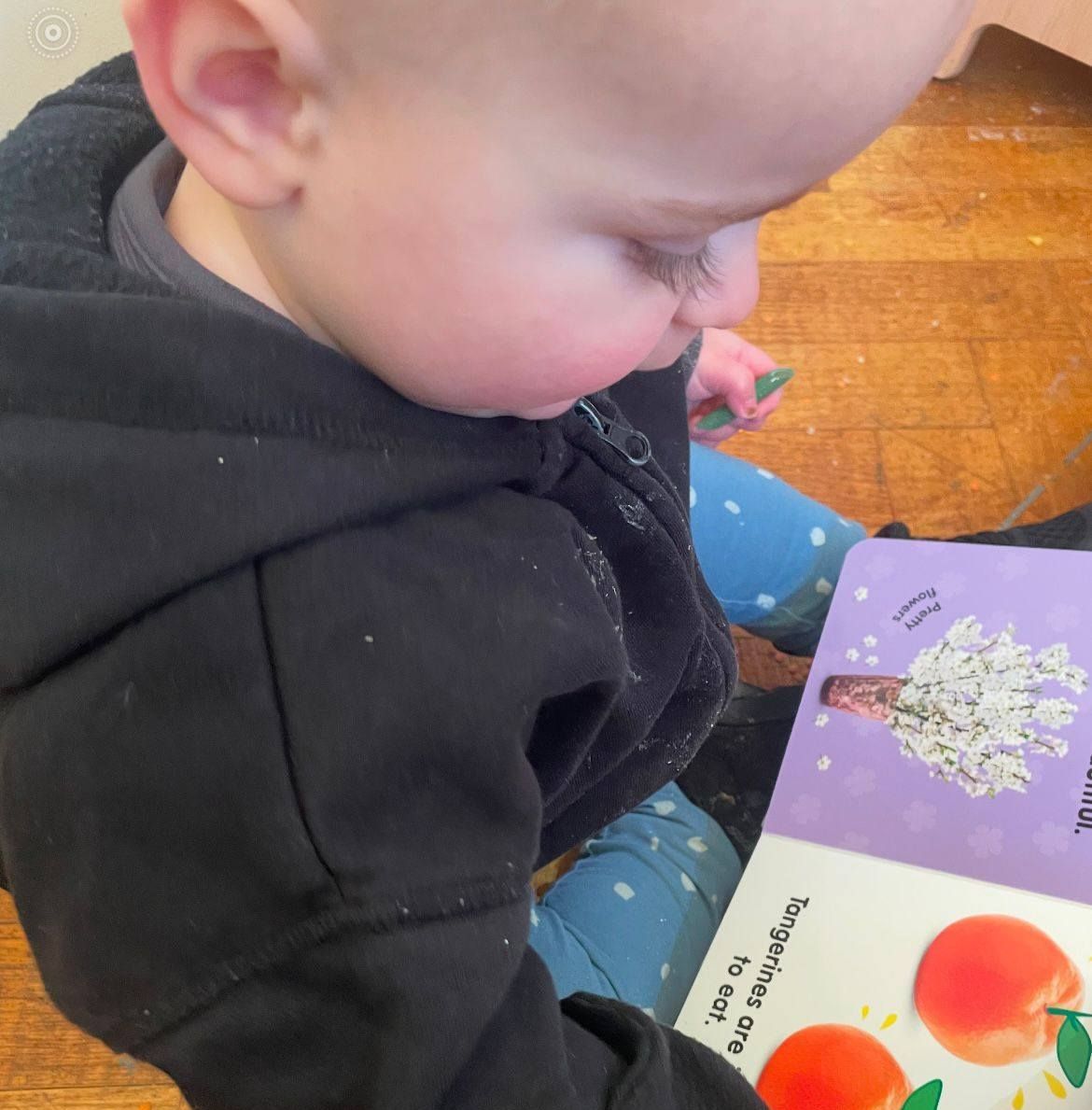 Engaging with books at Hedgheogs Day Nursery Hoo