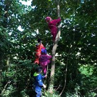 climbing trees at forest school