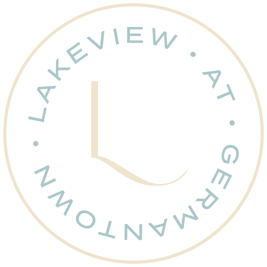 lakeview brandmark
