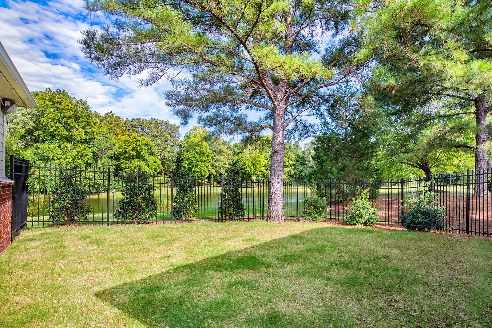 Backyard with green grass, black fence, and trees overlooking a body of water under a blue sky.