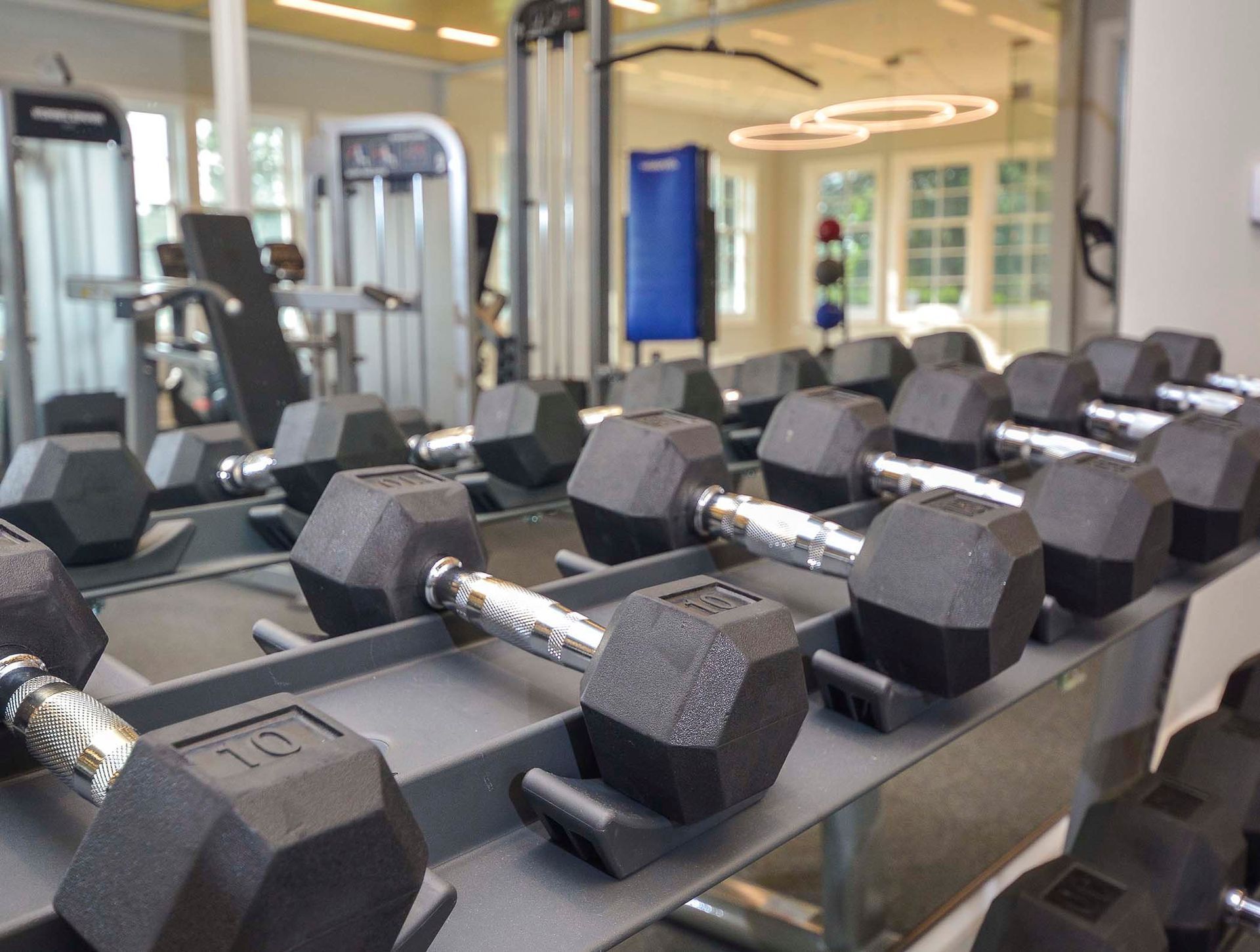 Row of black hex dumbbells on a rack in a well-lit gym.