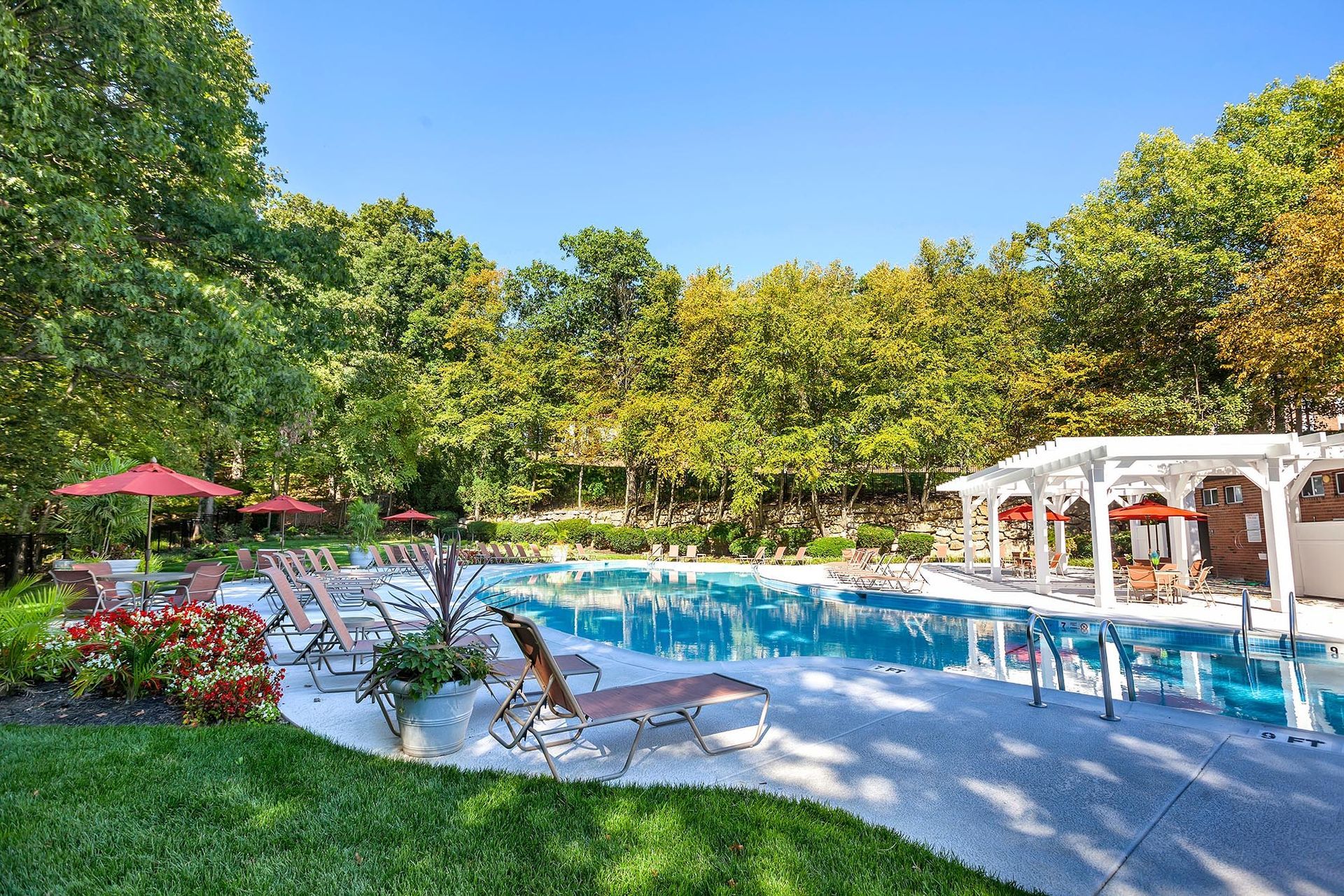 Outdoor community pool with lounge chairs, red umbrellas, and surrounding trees.
