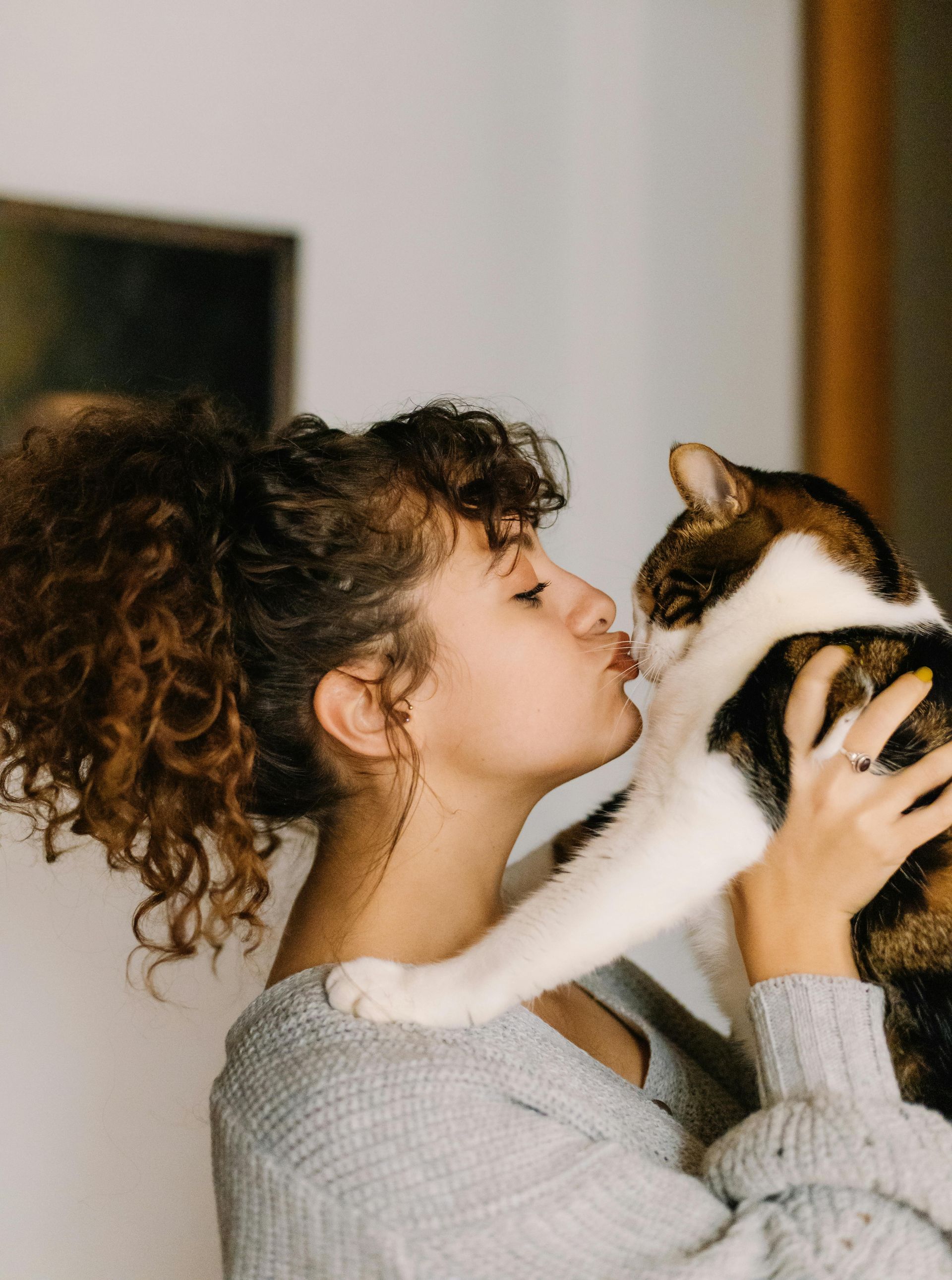 Woman kissing a calico cat indoors. Woman has curly hair in a bun; wearing a gray sweater.