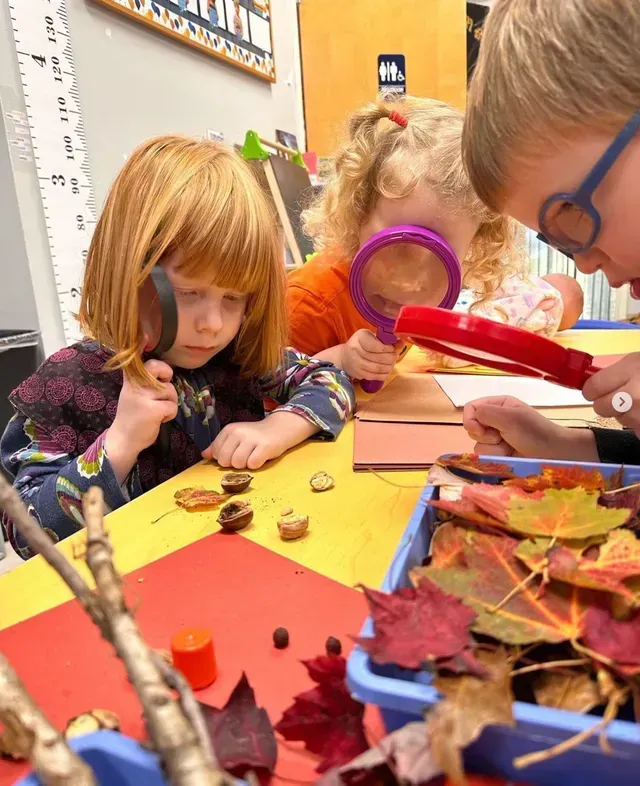 Children examining leaves and nuts with magnifying glasses at a yellow table.
