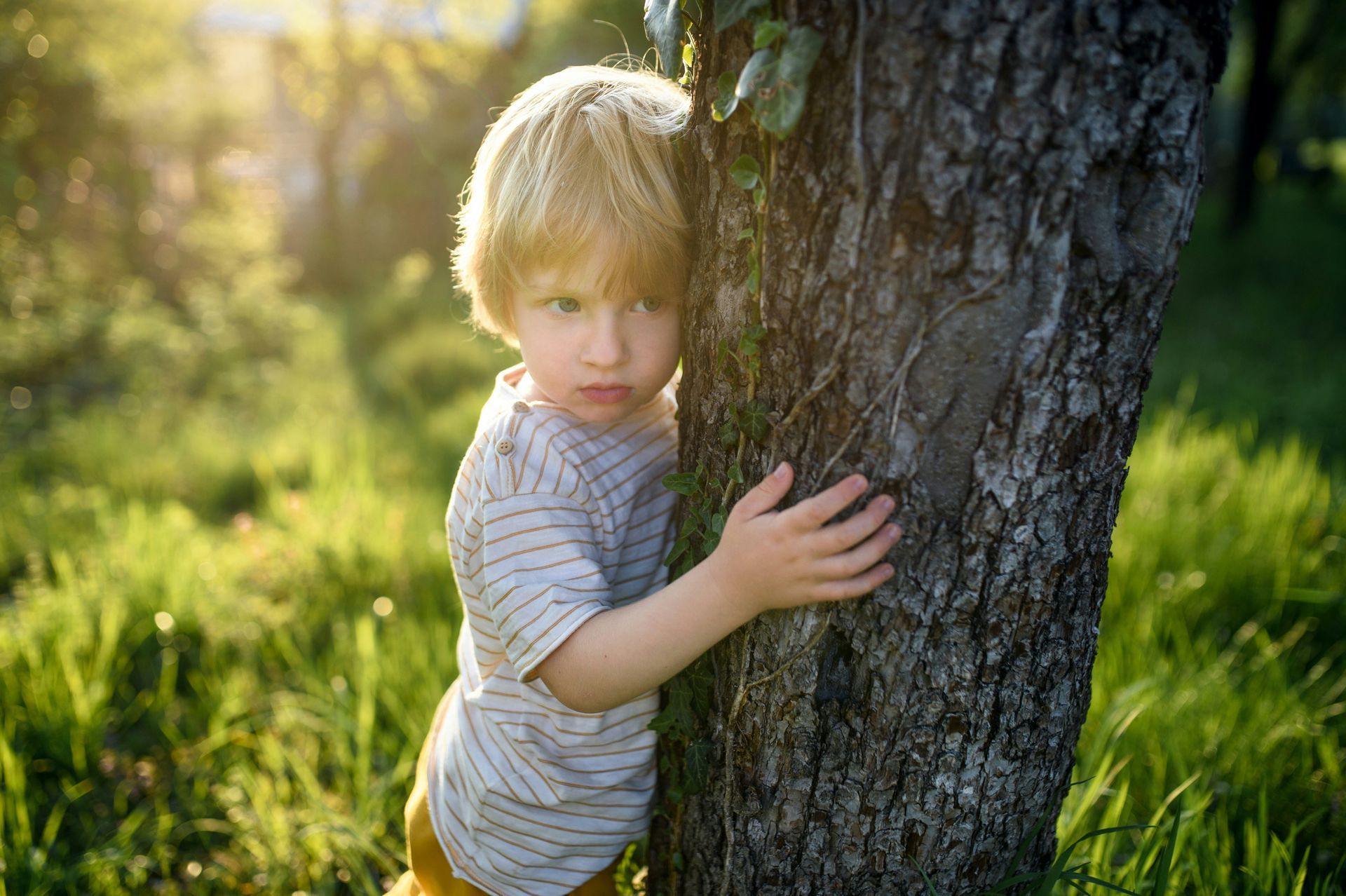 Boy hugging a tree trunk in a sunny field of green grass.