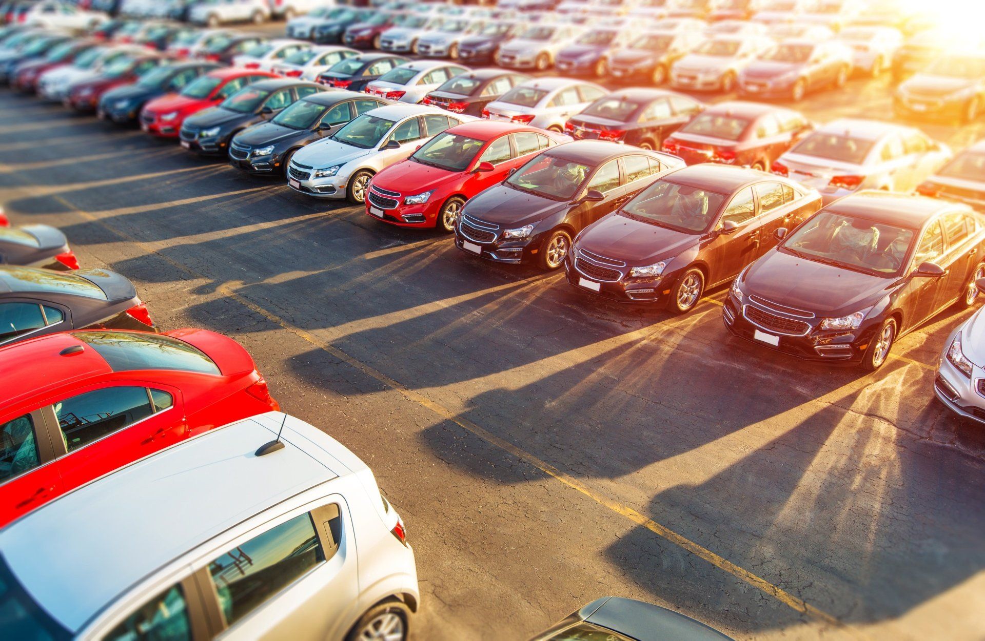 vehicles lined up in a lot for trade-in