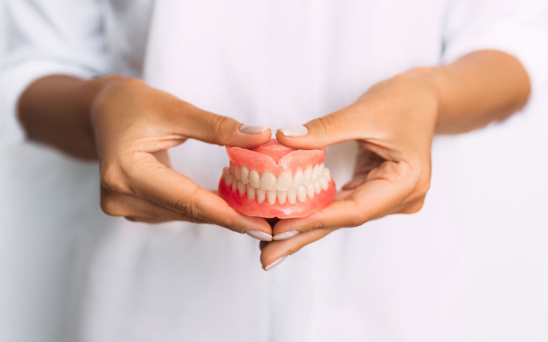 A woman is holding a model of teeth in her hands.
