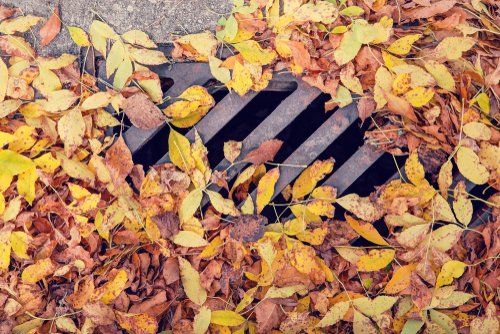 Drainage covered with autumn leaves