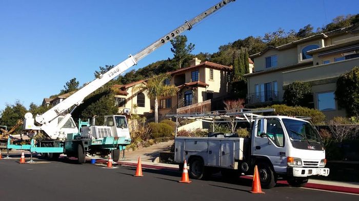 Tree Removal — Watsonville, CA — Williams Tree Service Inc
