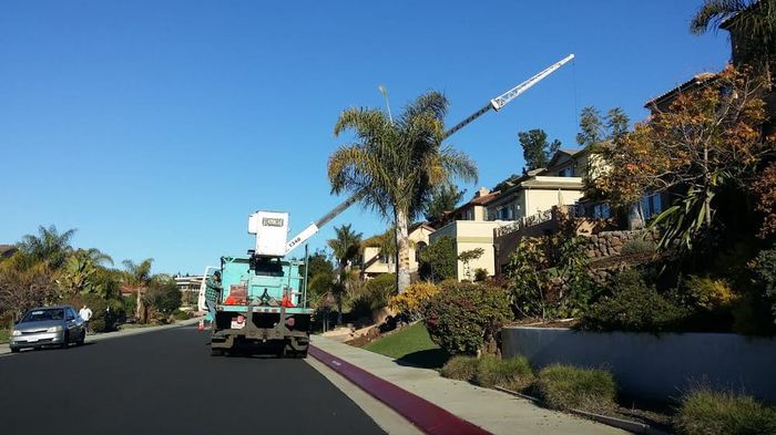 Residential Tree Removal — Watsonville, CA — Williams Tree Service Inc