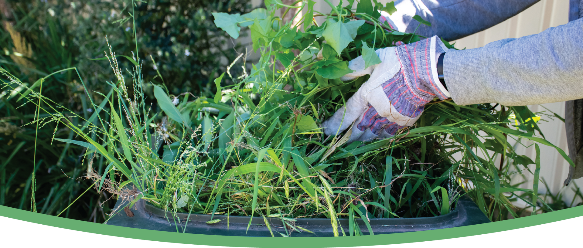 A man is kneeling down and rolling a roll of grass.