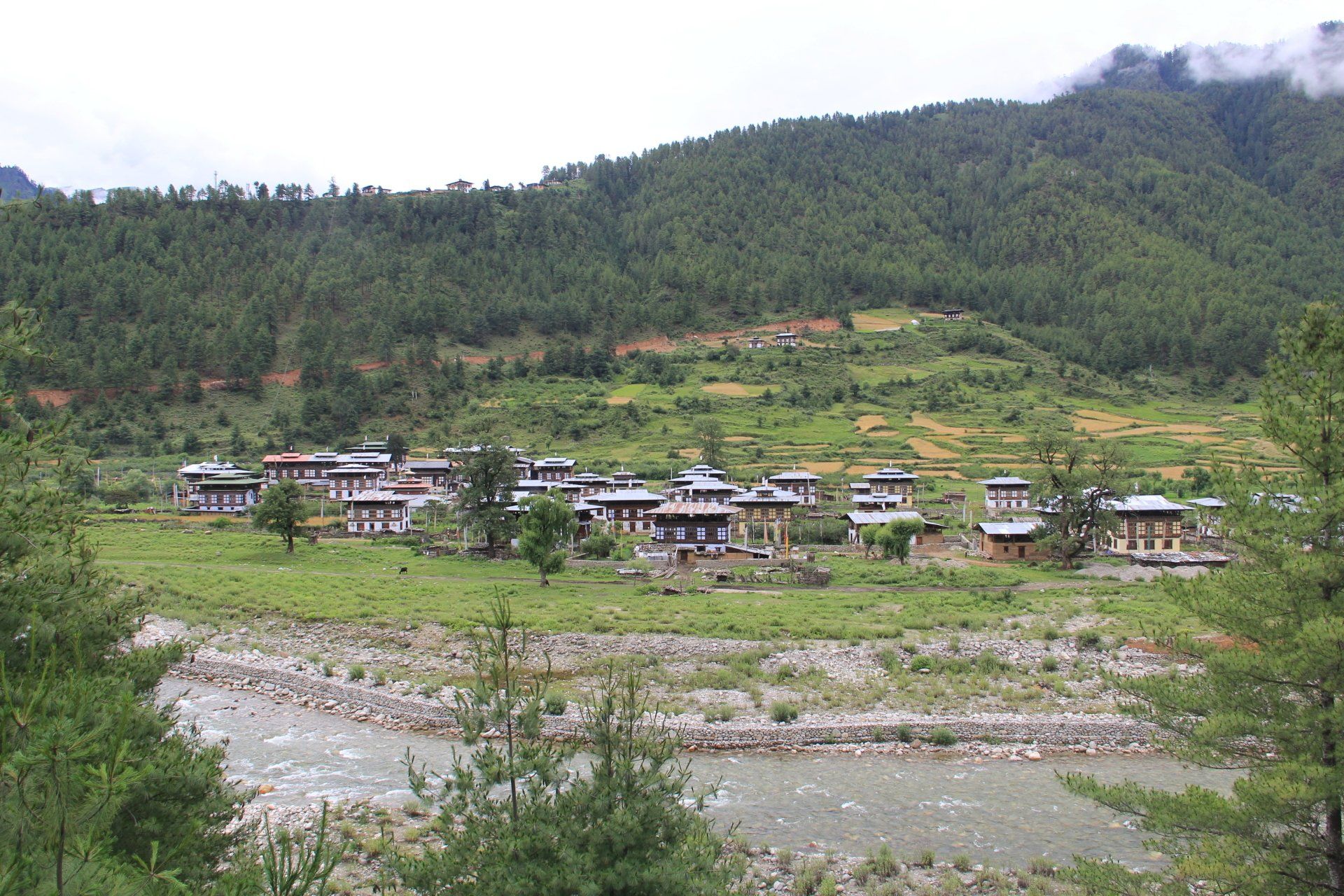 bhutan tourism registered hotels