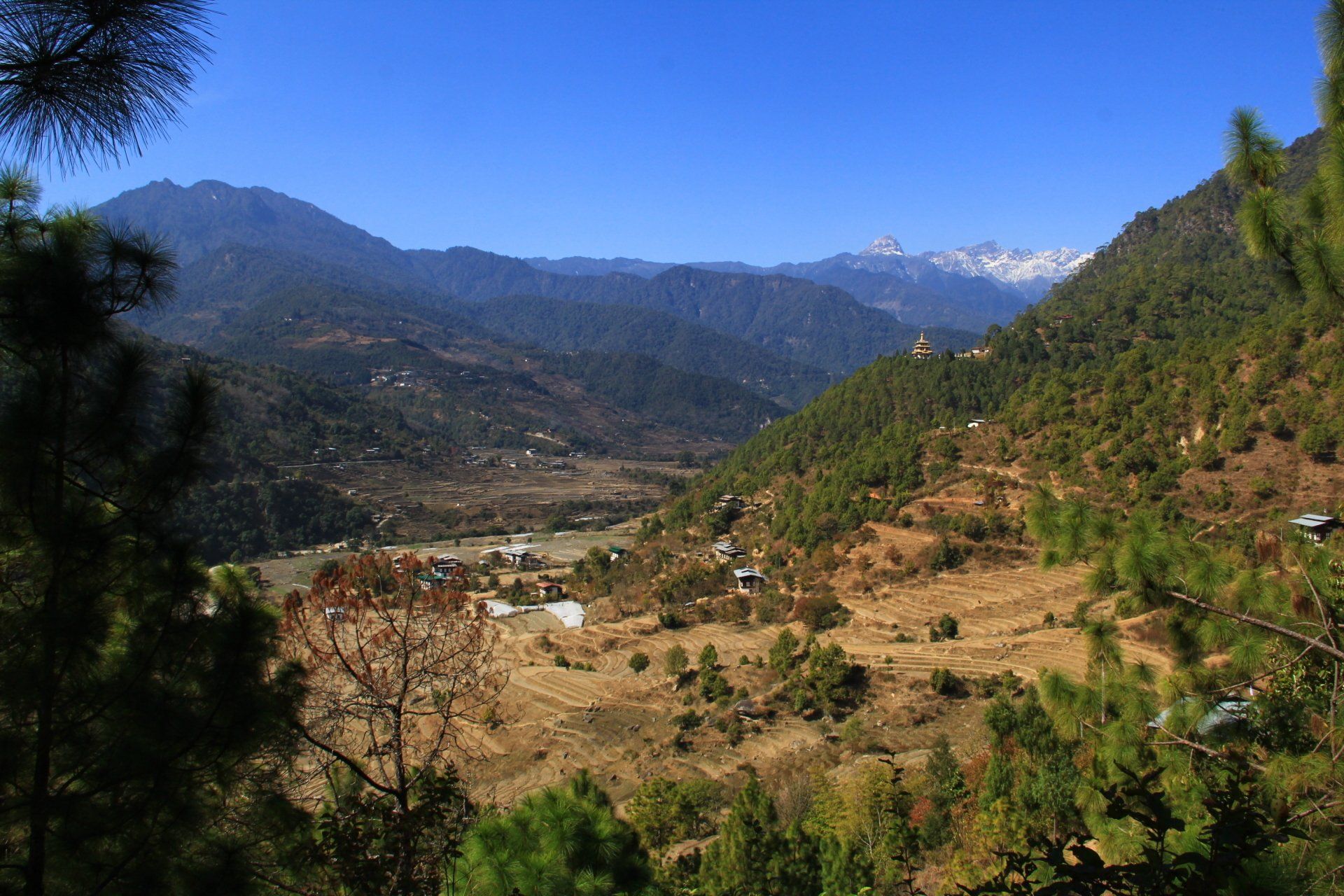 Jiligang Hike in Punakha