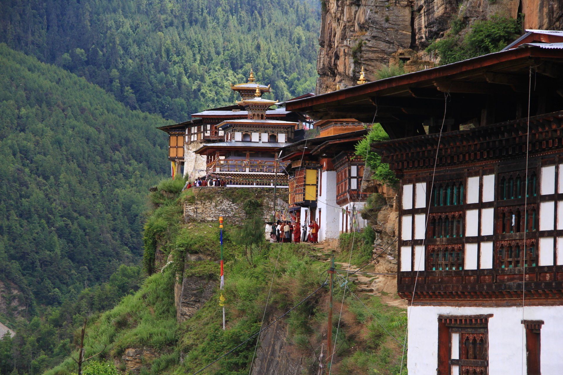 What you can do in Paro