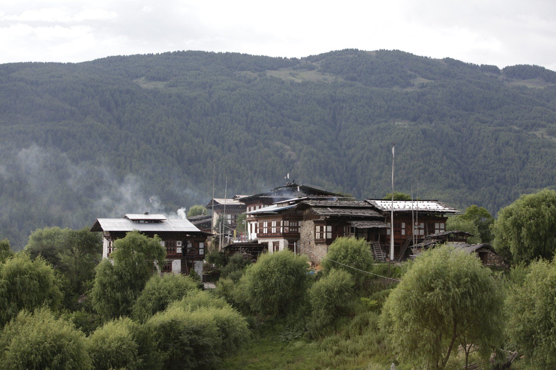 bhutan tourism registered hotels