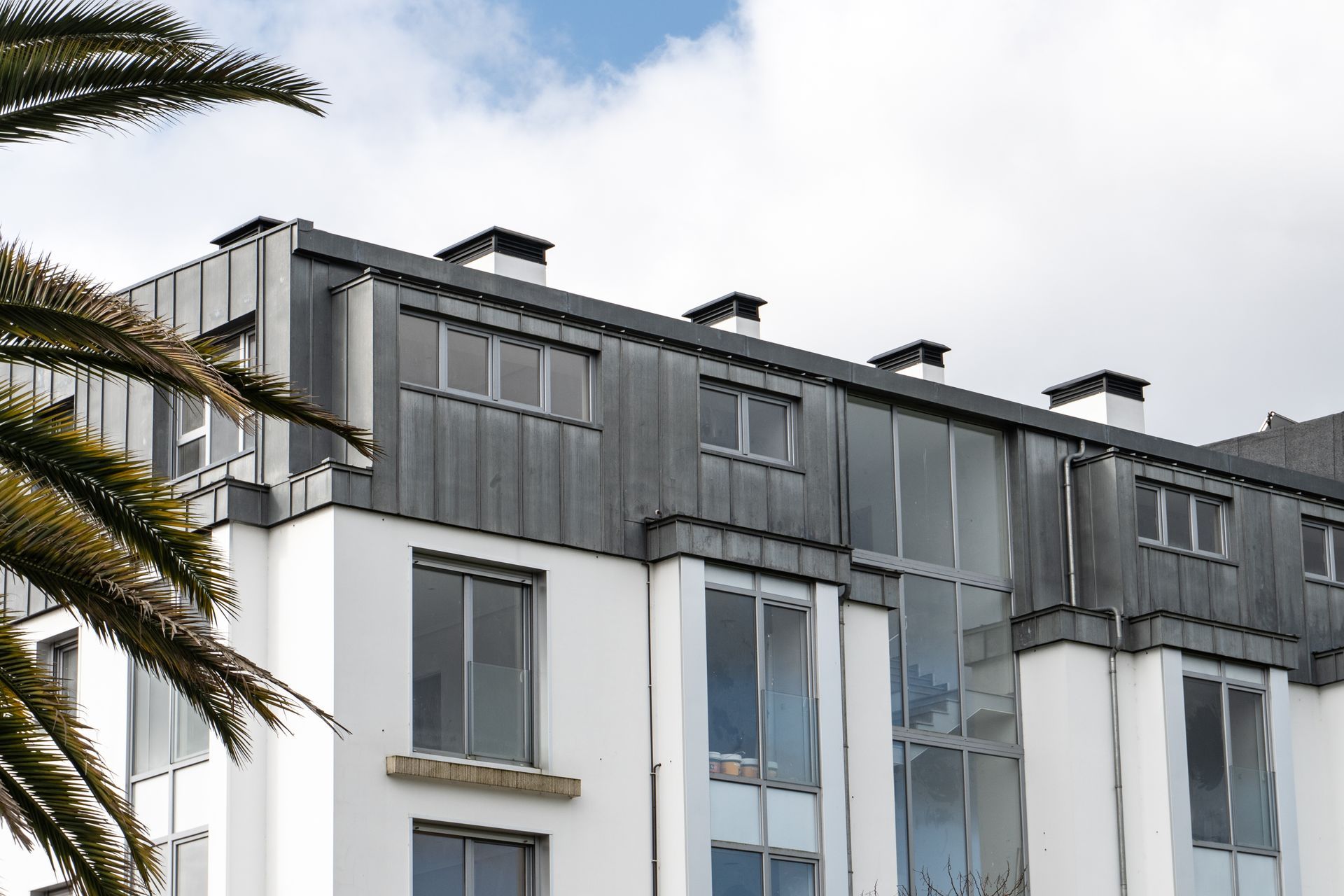 Ein weißes Gebäude mit einer Palme davor