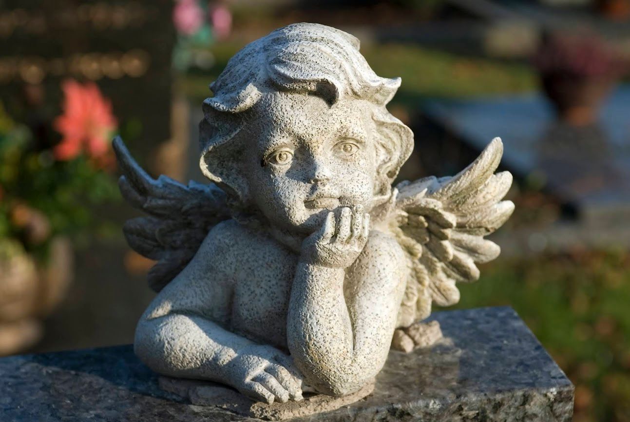 Le sagome delle erbe si stagliano contro un tramonto dorato sull'acqua calma.