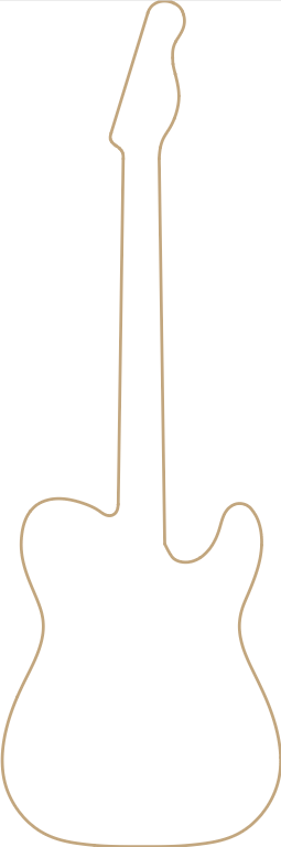 Une silhouette d'une guitare électrique sur fond blanc.