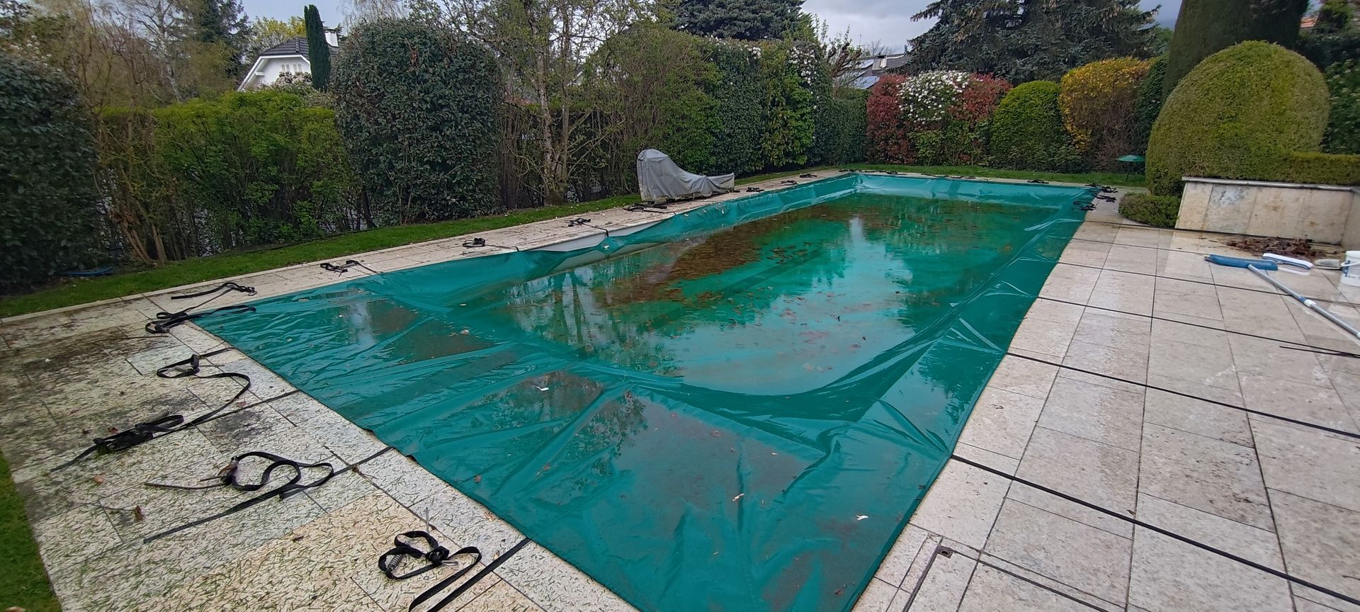 Une grande piscine entourée d'arbres et d'arbustes dans une cour arrière.