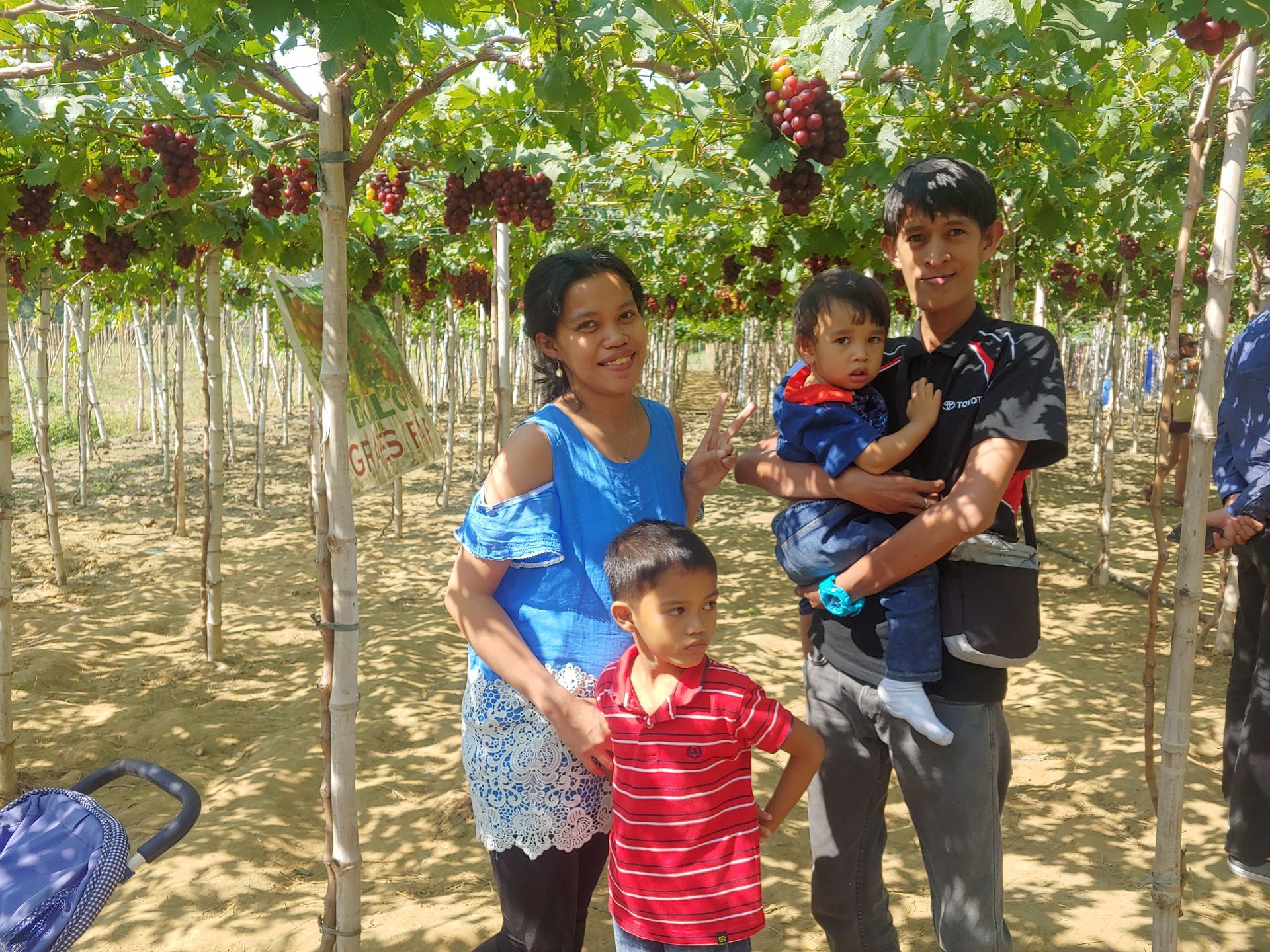 Family poses under grapevines laden with red grapes.