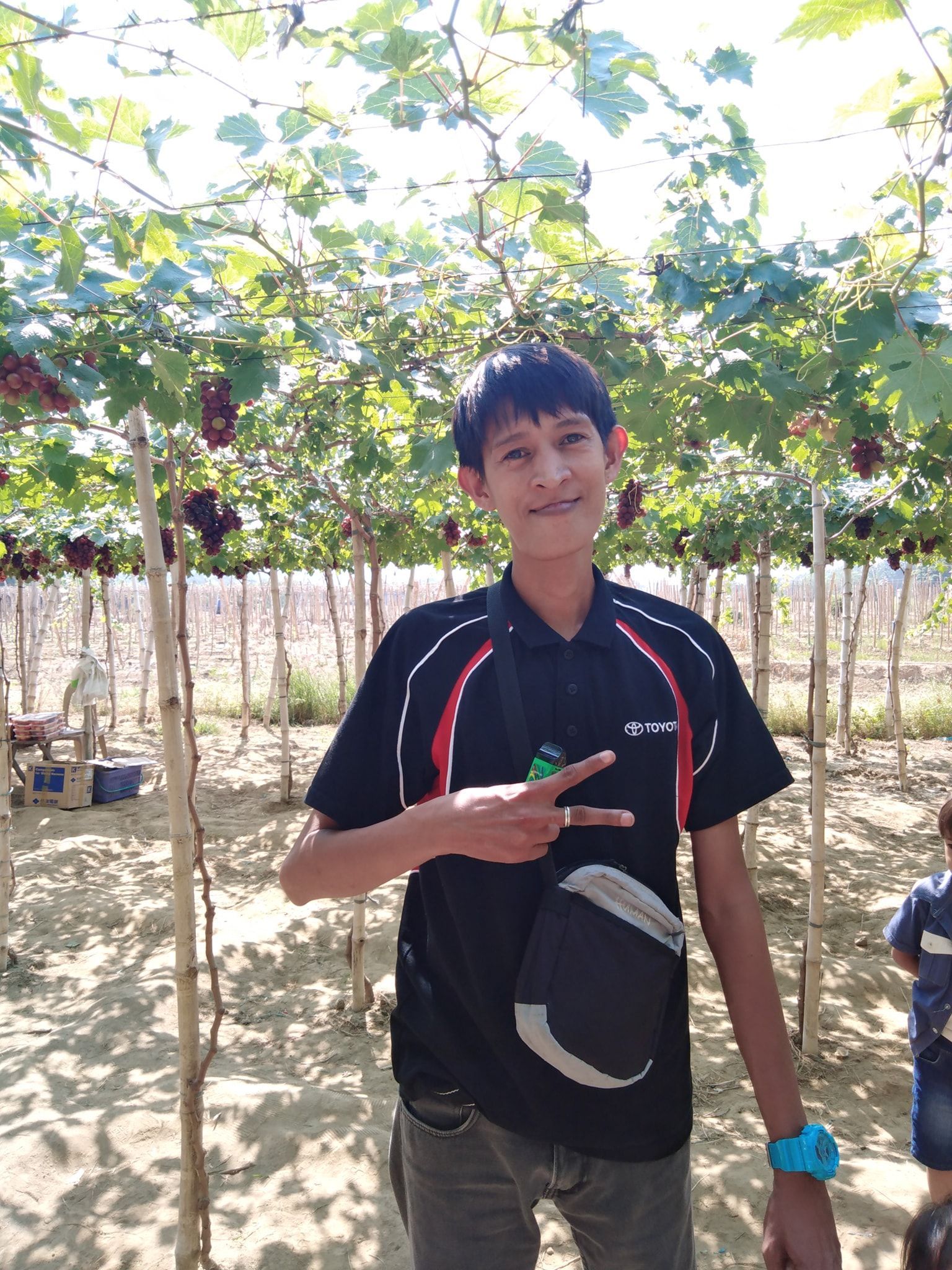 Man smiles, gives peace sign, in vineyard. He wears black shirt and fanny pack. Grapes hang overhead.