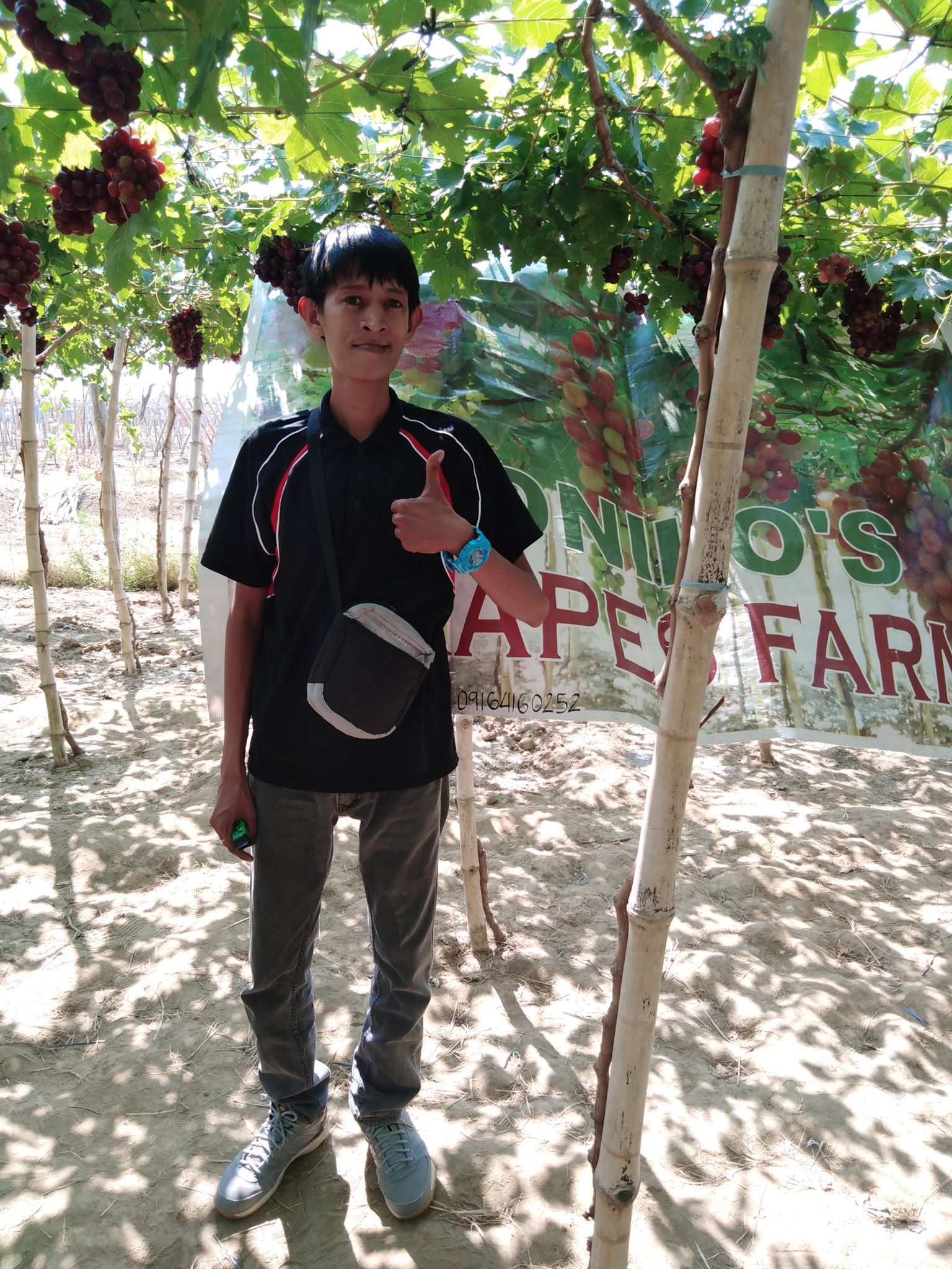 Boy giving thumbs up at a grape farm, surrounded by grape vines.