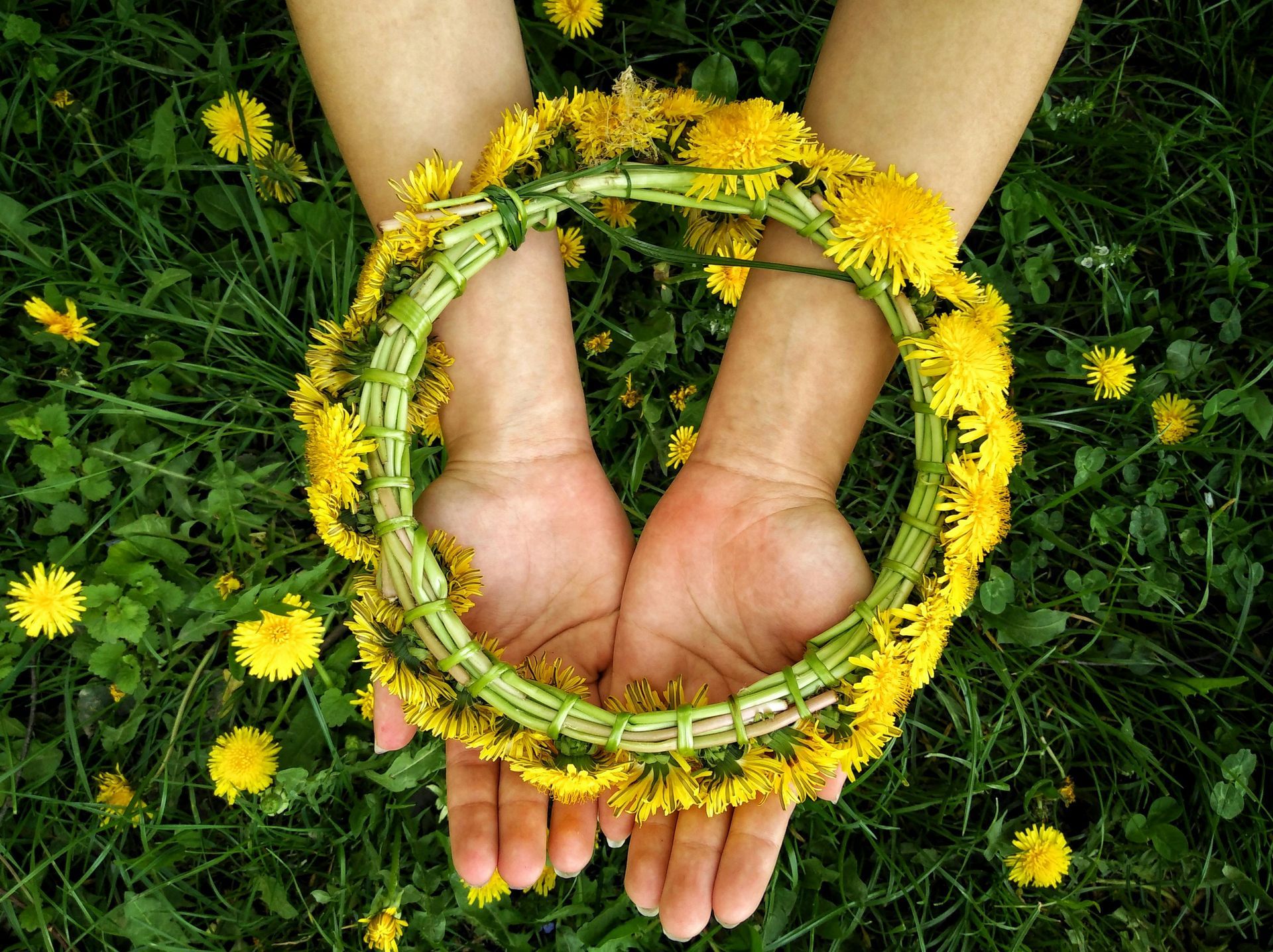 Hands holding a dandelion flower crown in a grassy field.
