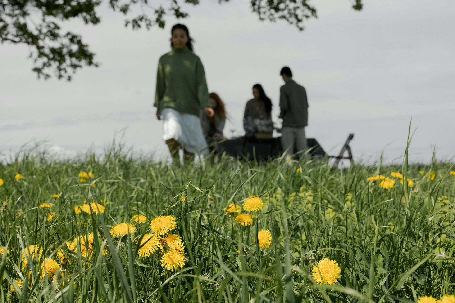 Yellow dandelions in a grassy field with people in the background under a tree on a cloudy day.