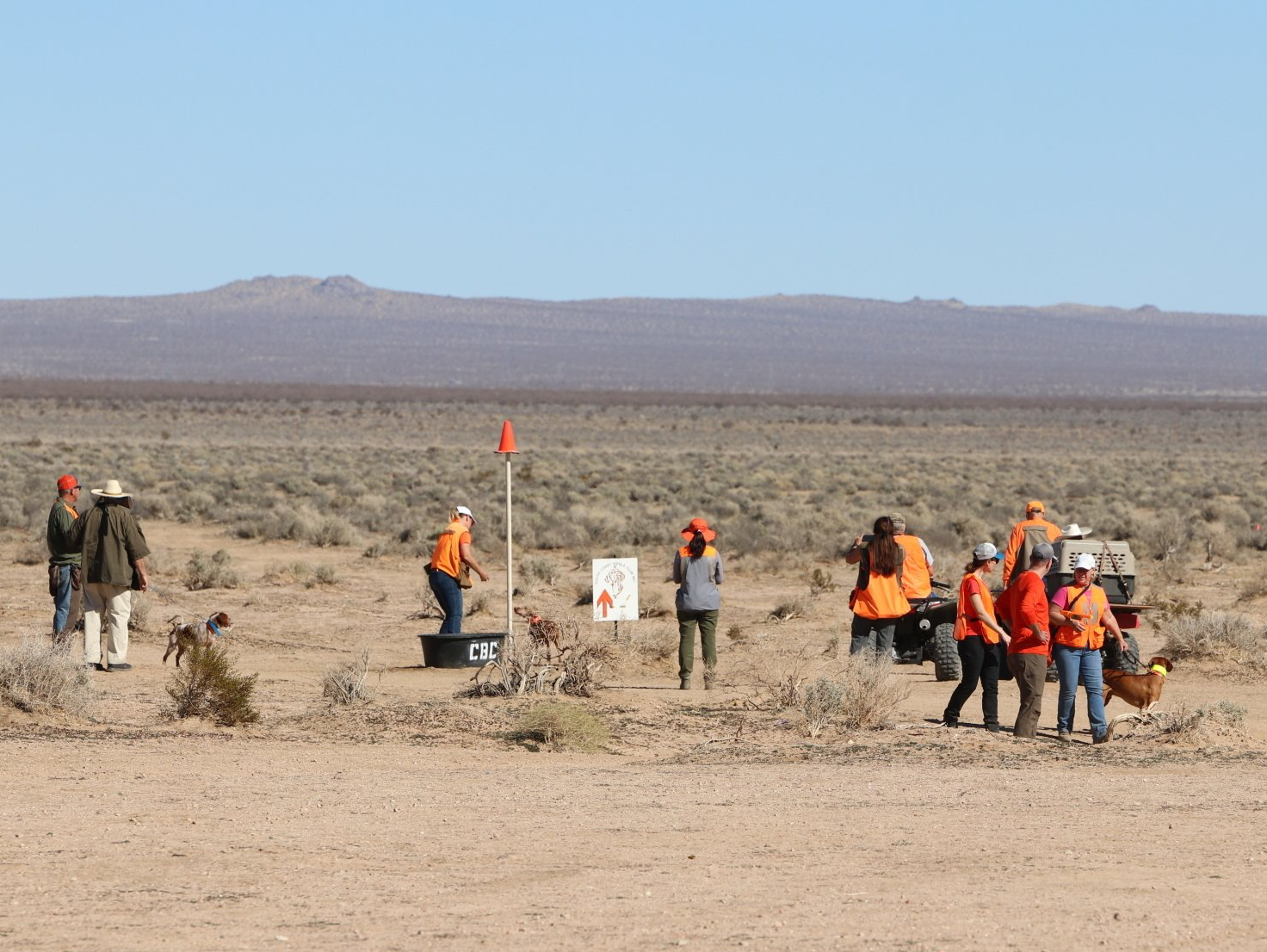 Double Double Hunt Test December 3-4th, 2022