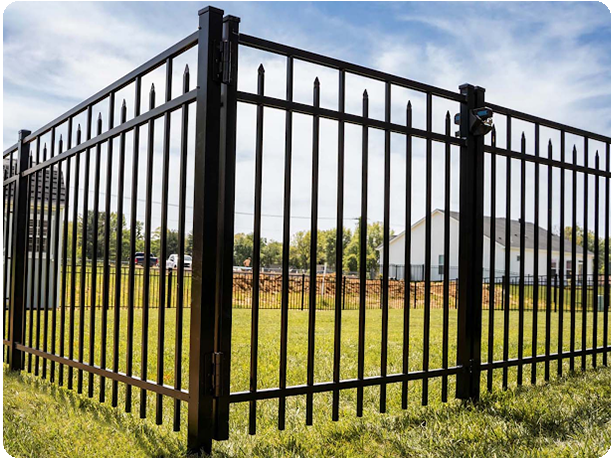 A black metal fence surrounds a lush green field.