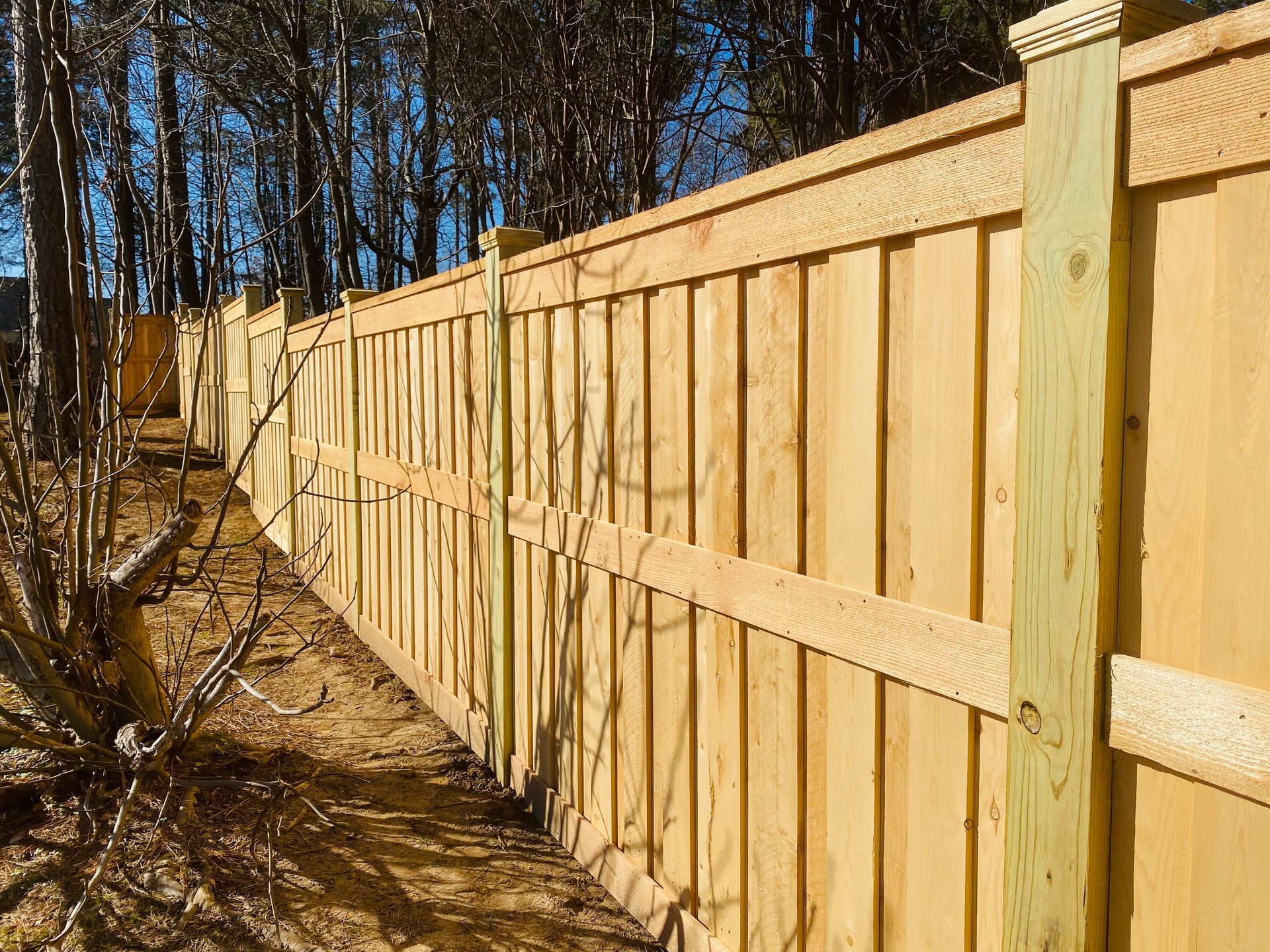 A wooden fence is surrounded by trees on a sunny day.