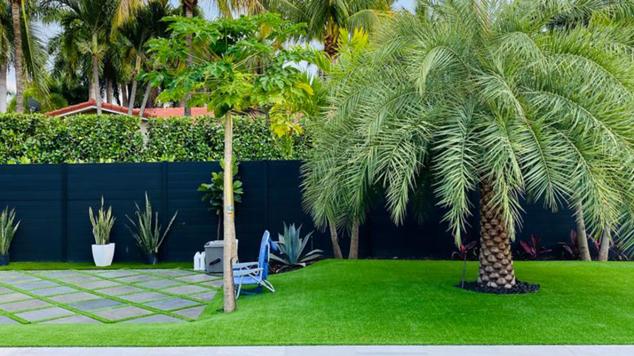 Green lawn with palm tree, dark blue fence, patio, and blue chair.