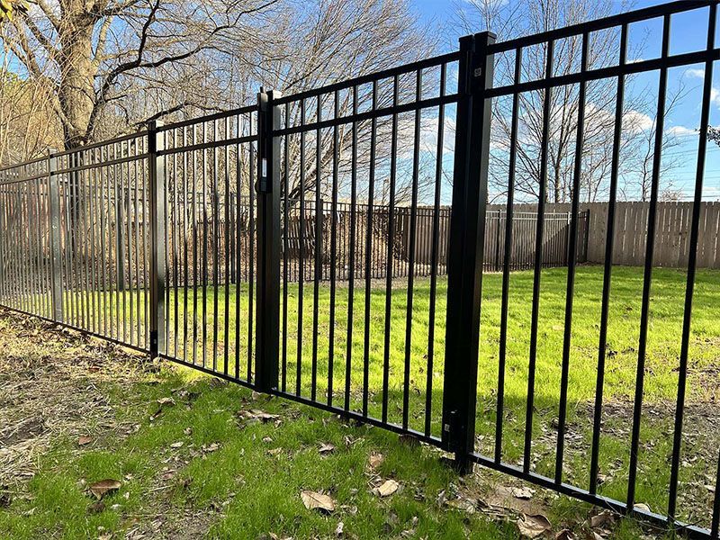 A black metal fence surrounds a lush green field.