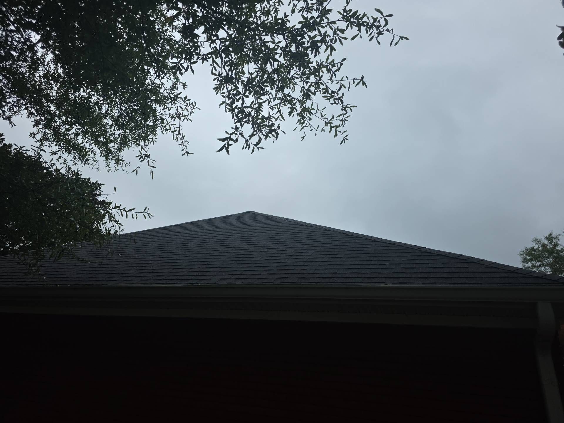 Gray roof of a building against a cloudy sky, framed by tree branches.