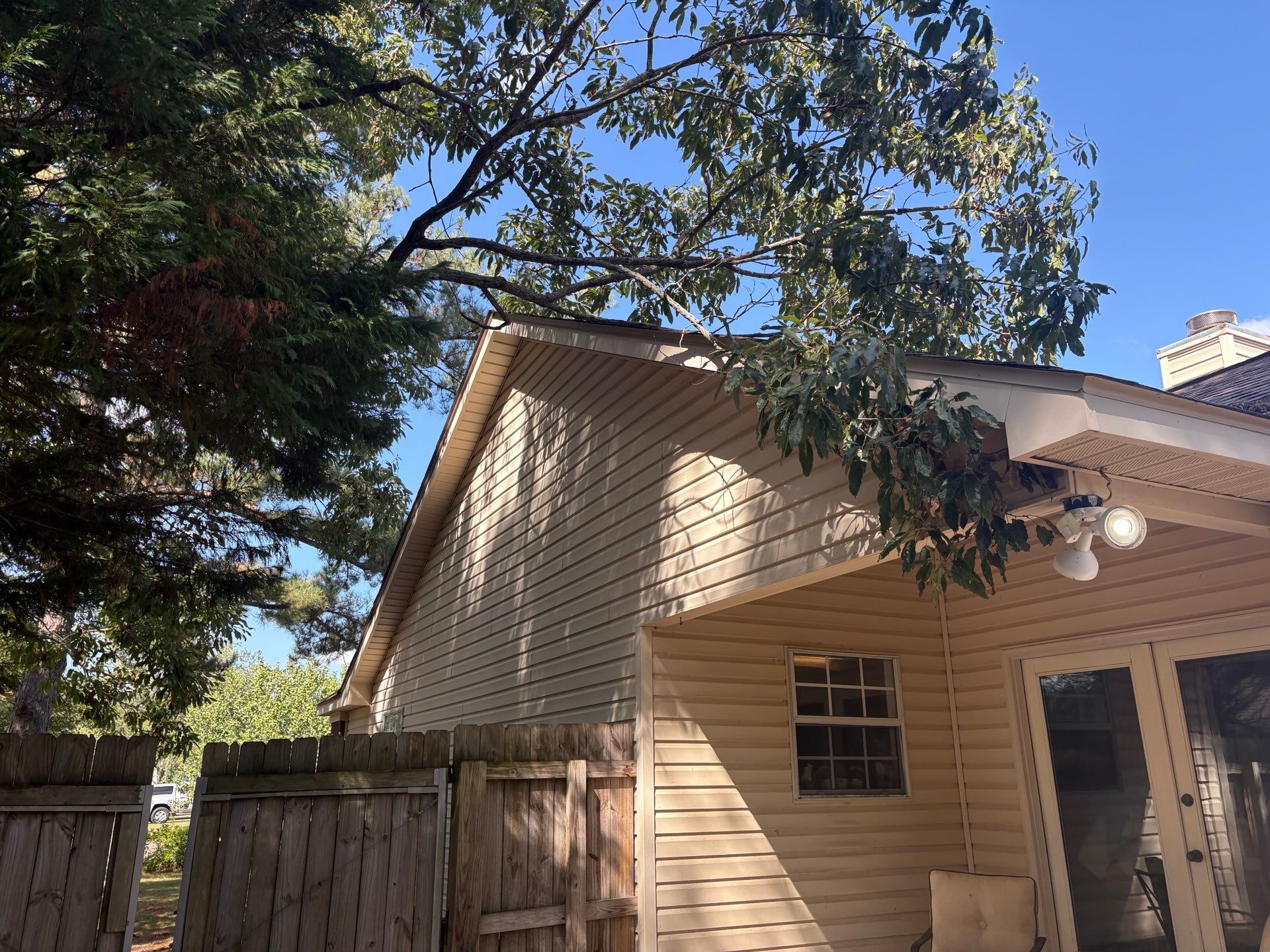 Tan siding on a house, a wooden fence, and a tree branch.