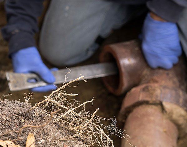 ASP employee providing drain cleaning in Duluth, MN