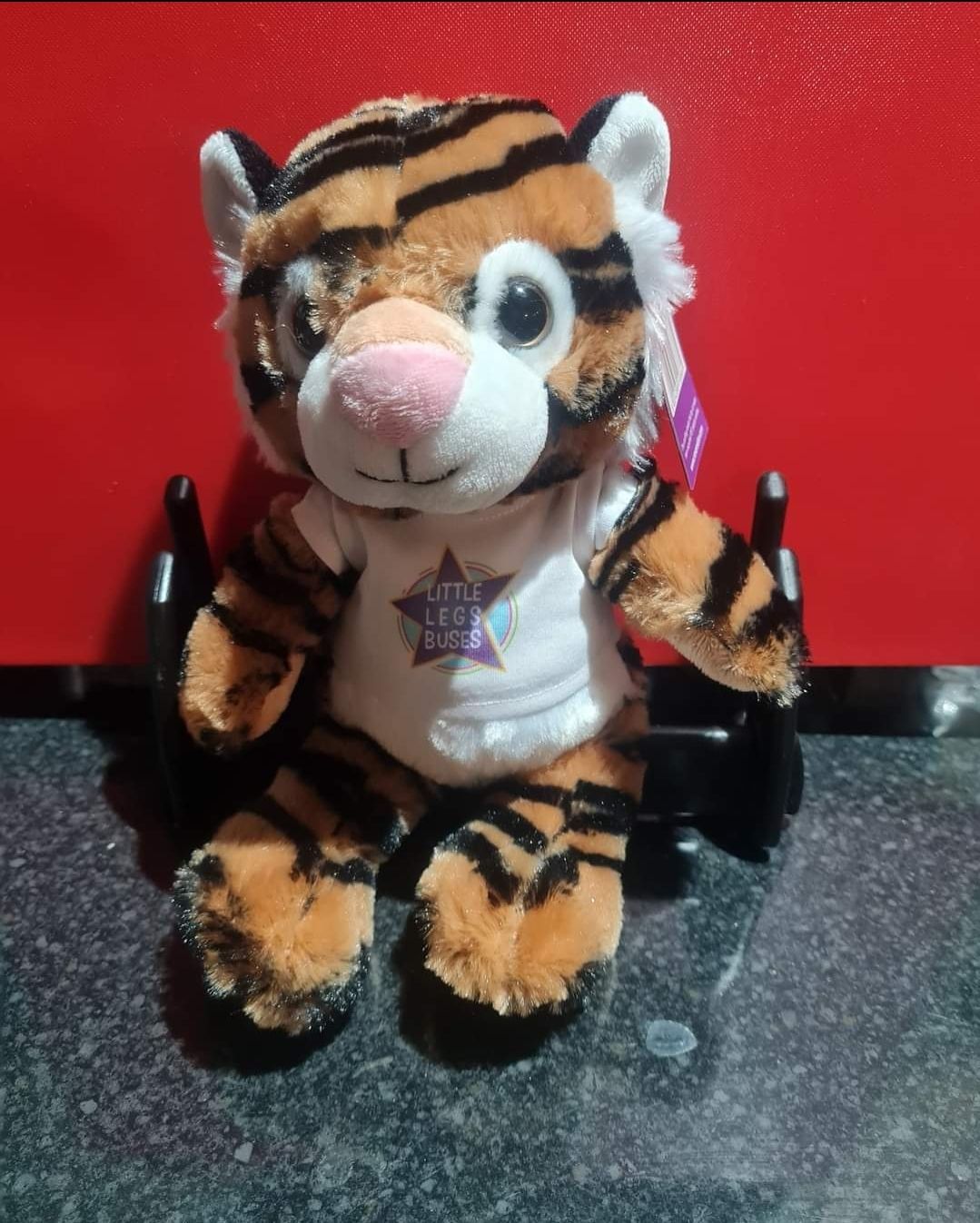 A stuffed tiger wearing a shirt that says i am a star