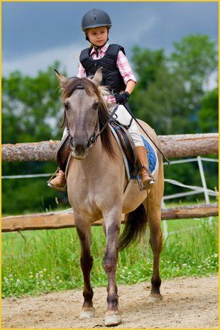 To learn how to ride in Colchester call Longmead Riding Centre Riding Tuition