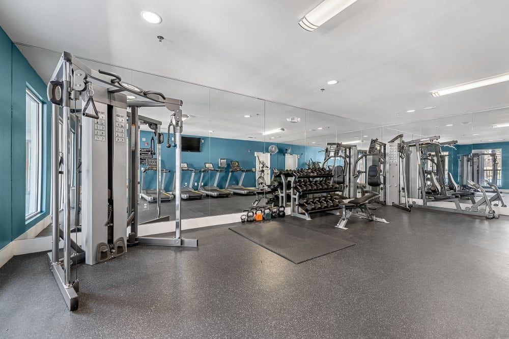 A large gym with a lot of equipment and a lot of mirrors at Marquis at Texas Street in Dallas, TX.