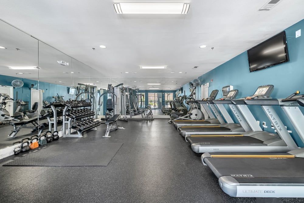A large gym with a lot of treadmills and dumbbells at Marquis at Texas Street in Dallas, TX.