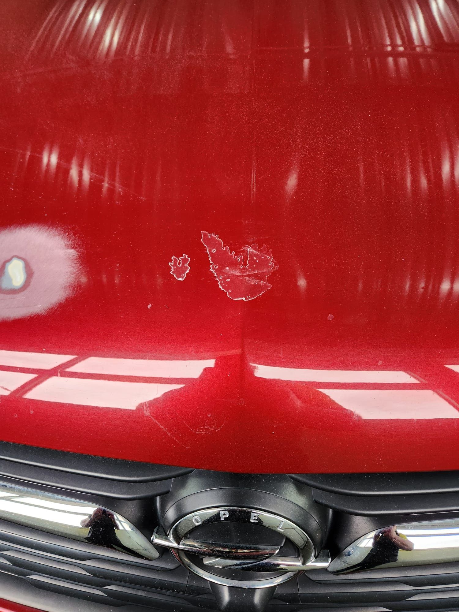 Een close-up van de motorkap met schade van een rode auto