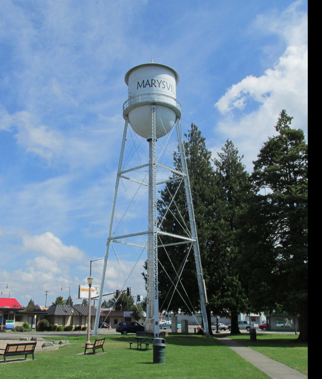 Expert Roofing Services in and around Marysville, WA