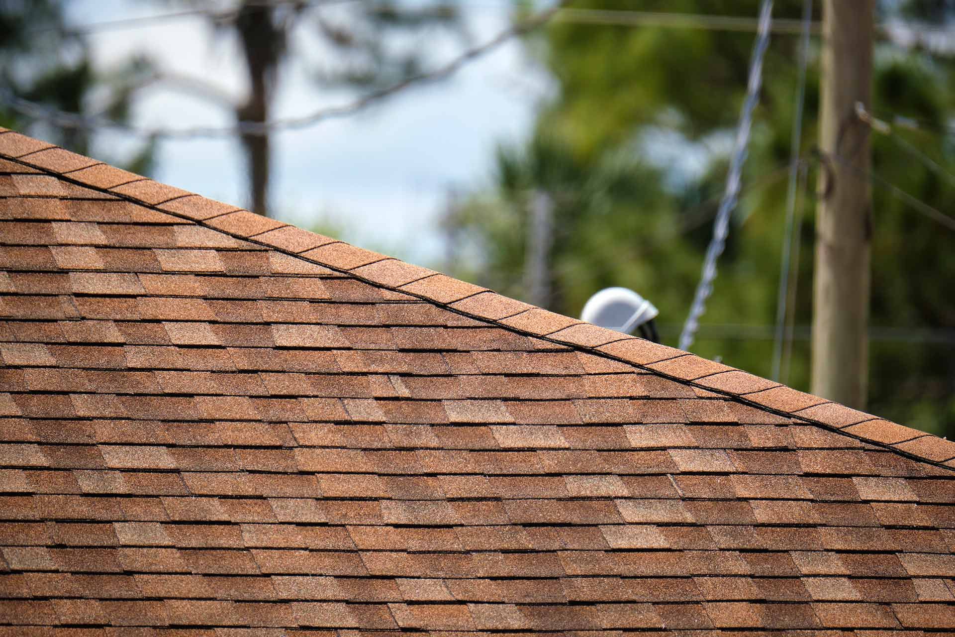 Roof Repair and Restoration services
