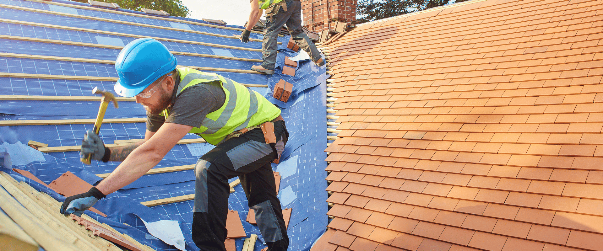 bellevue tpo roofing