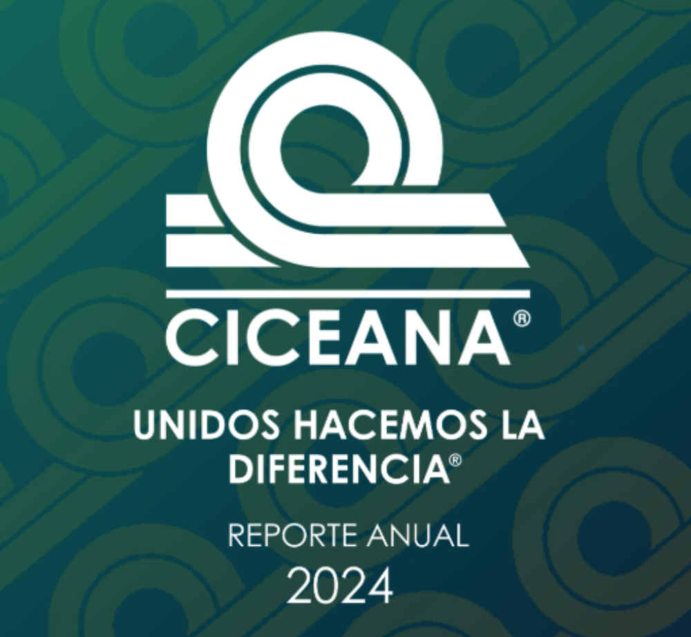 reporte anual 2024